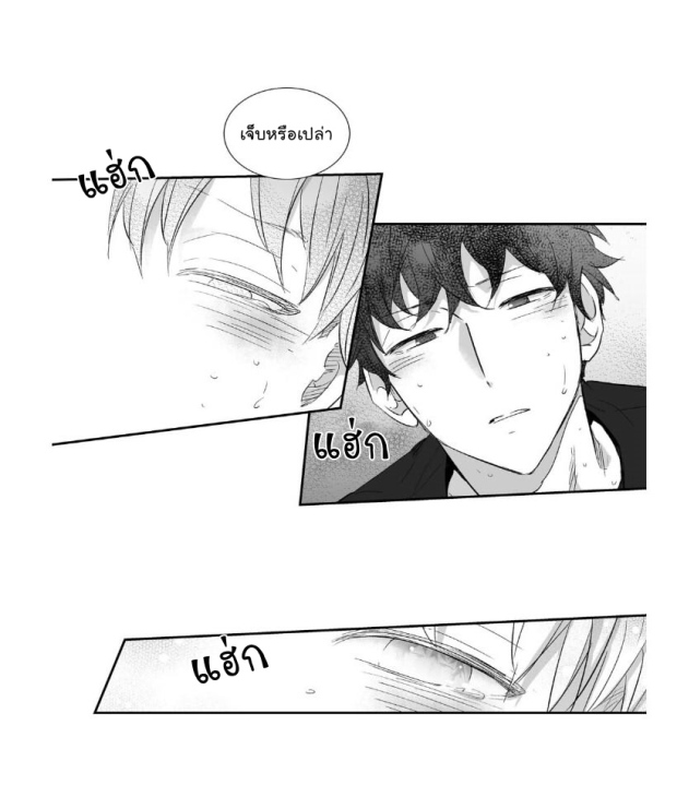 manga-yaoi
