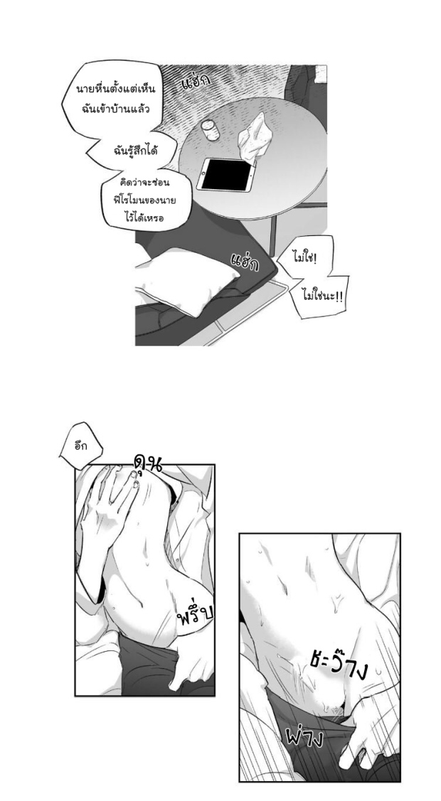manga-yaoi