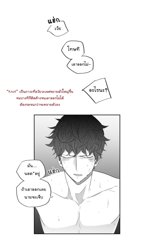 manga-yaoi