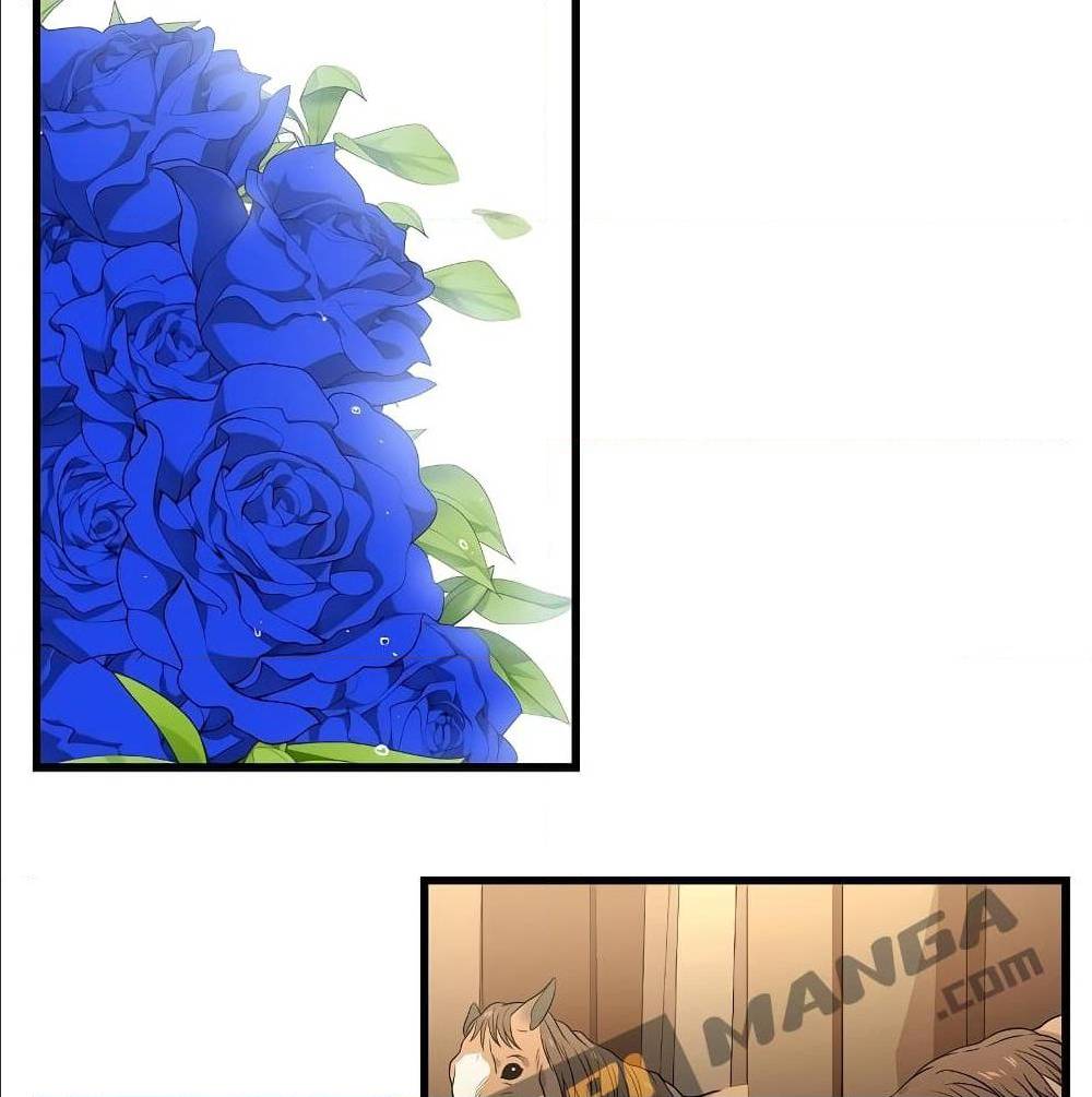 Return of the Legendary Spear Knight 1 (176)