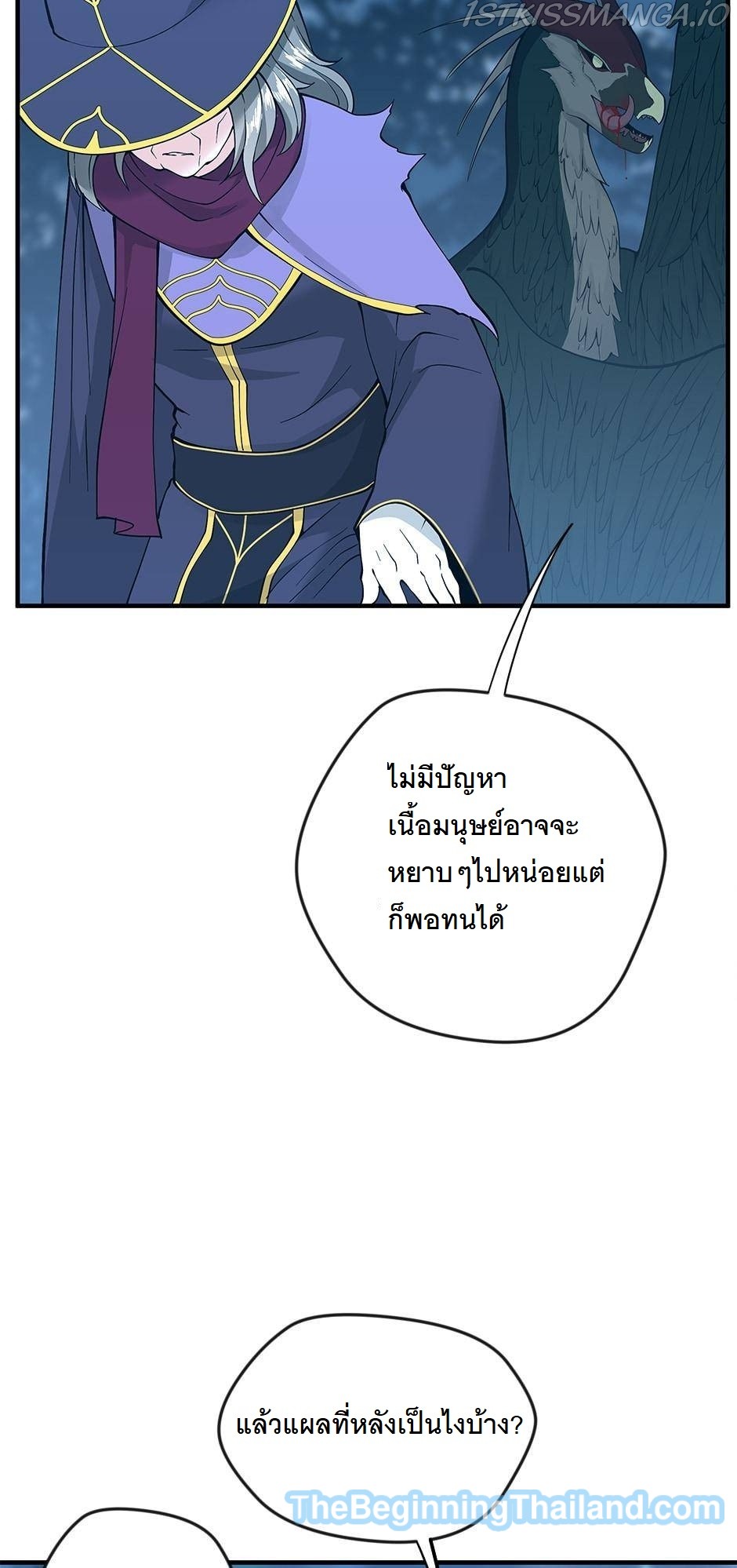 The Beginning After the End 125 (100)