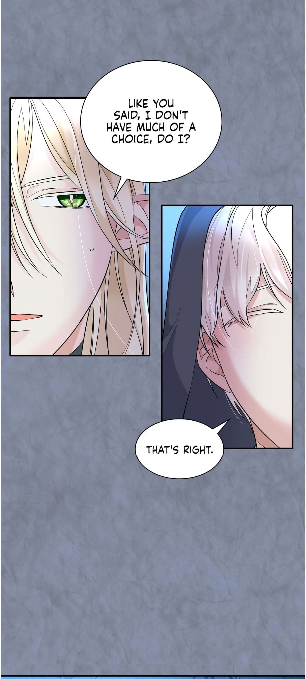 I Lost the Leash of the Yandere Male Lead 12 (50)