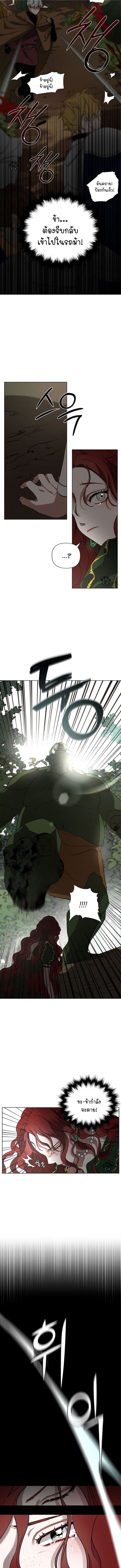 Under the Oak Tree 3 (12)