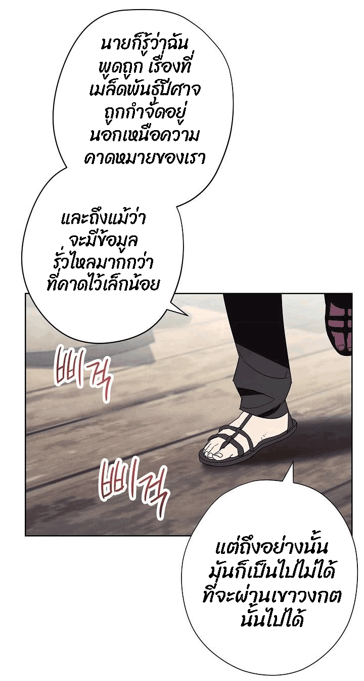 The Live 48 (36)