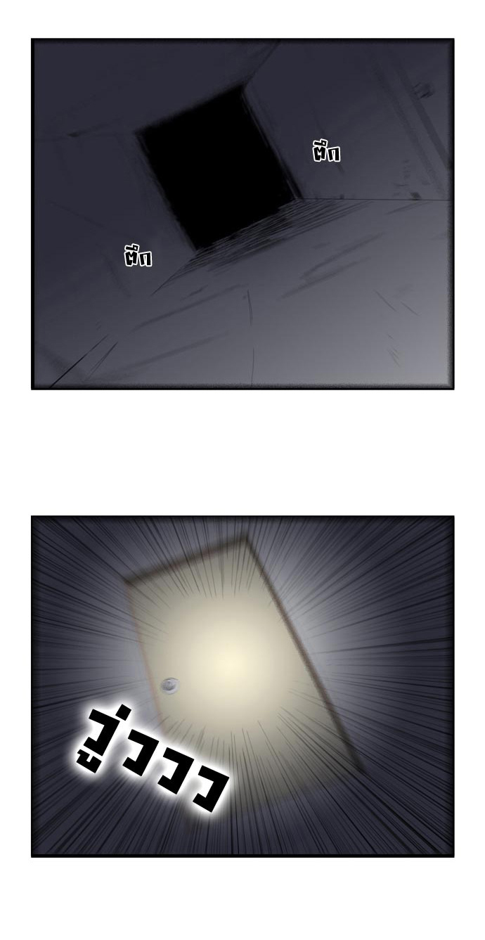 Noblesse 61 005