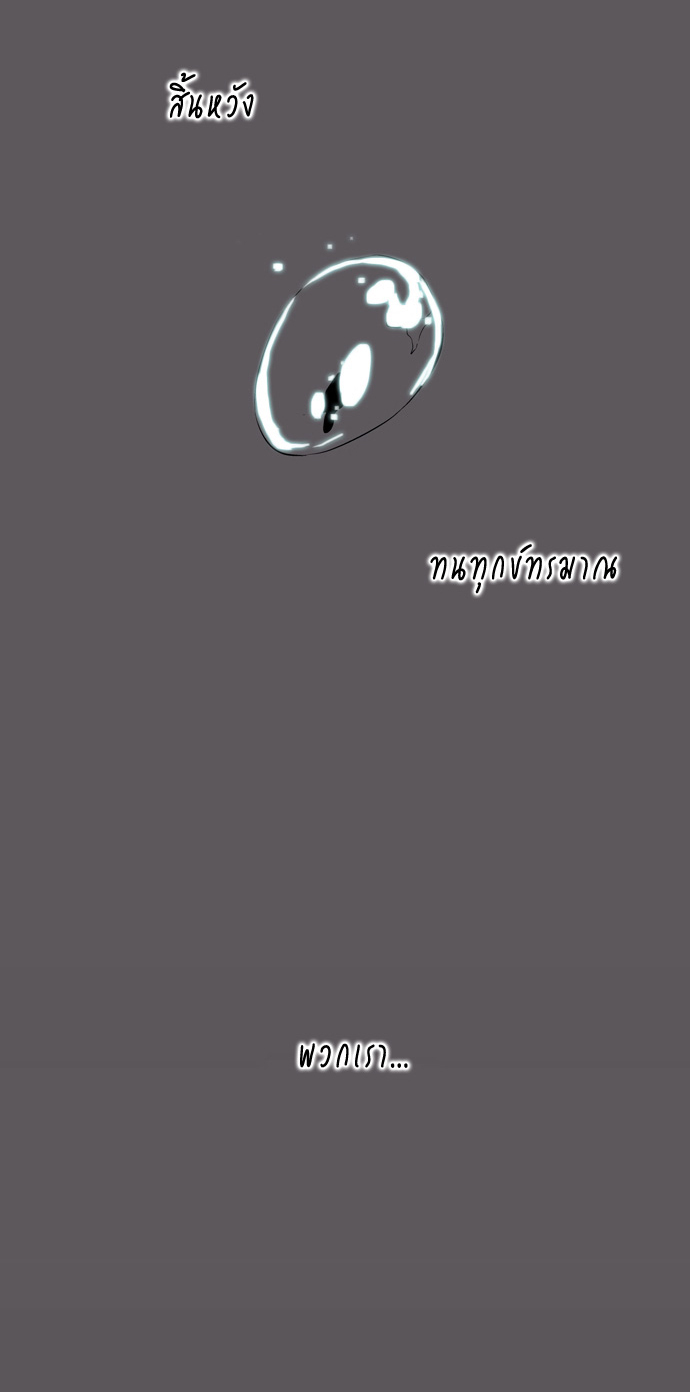 Noblesse 78 029