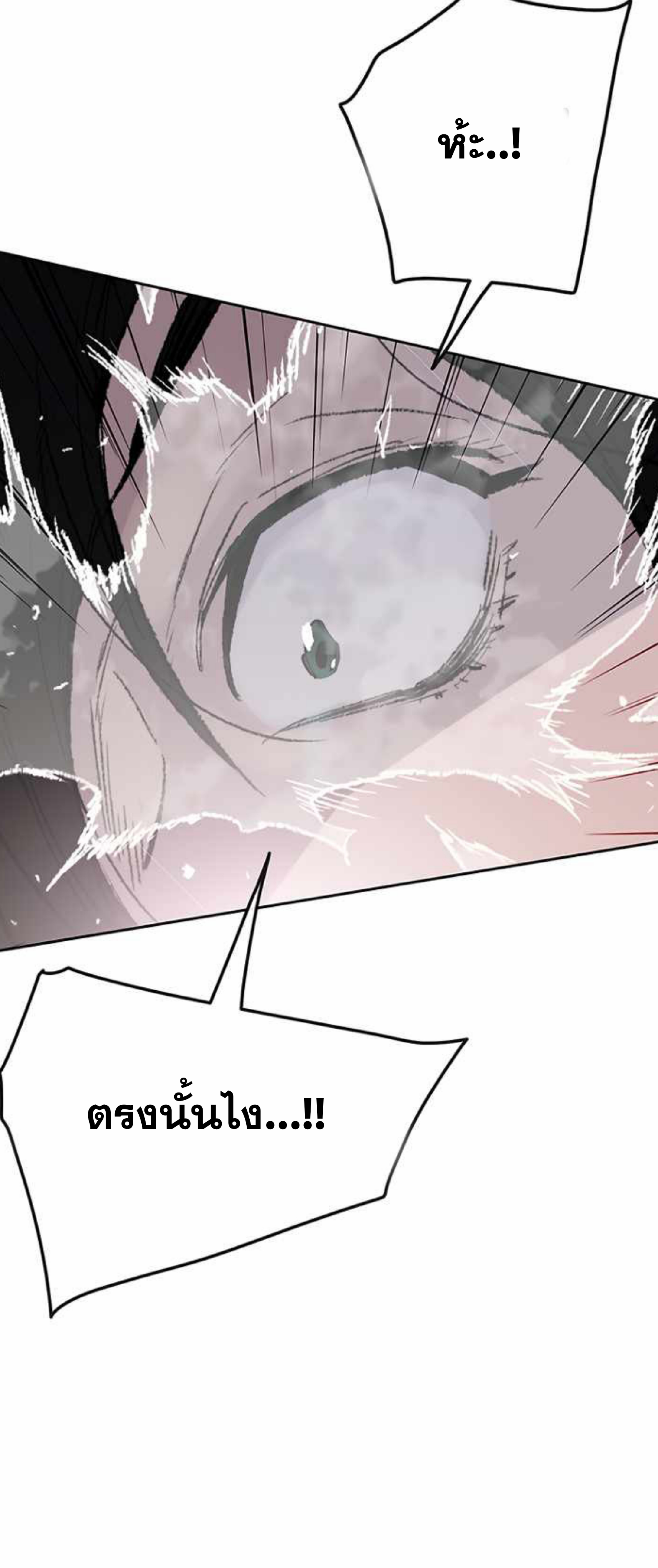 the indefeatable swordman60 (39)