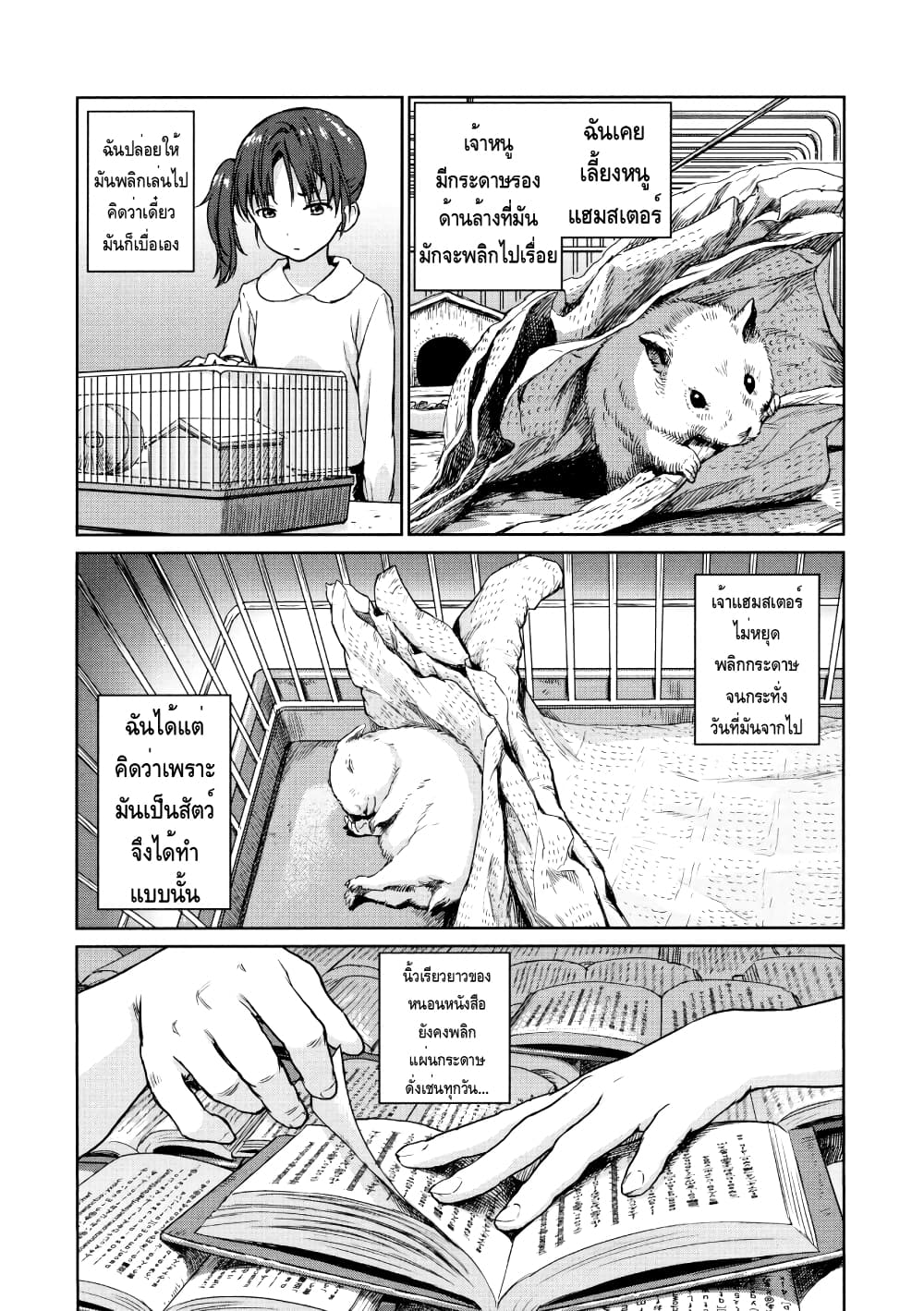 The Bookworm 1 (13)