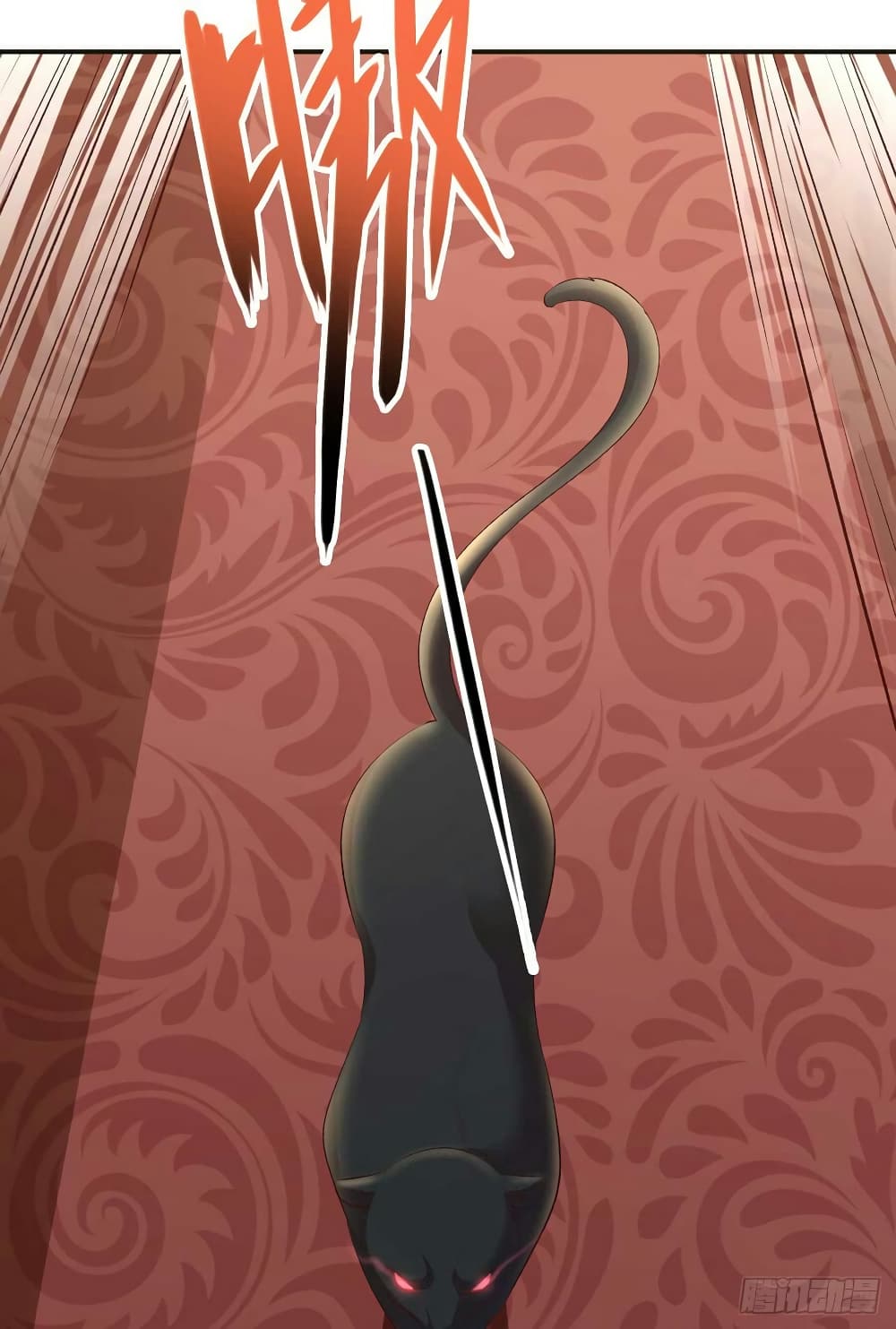 Genius Doctor Black Belly Miss 49 (19)