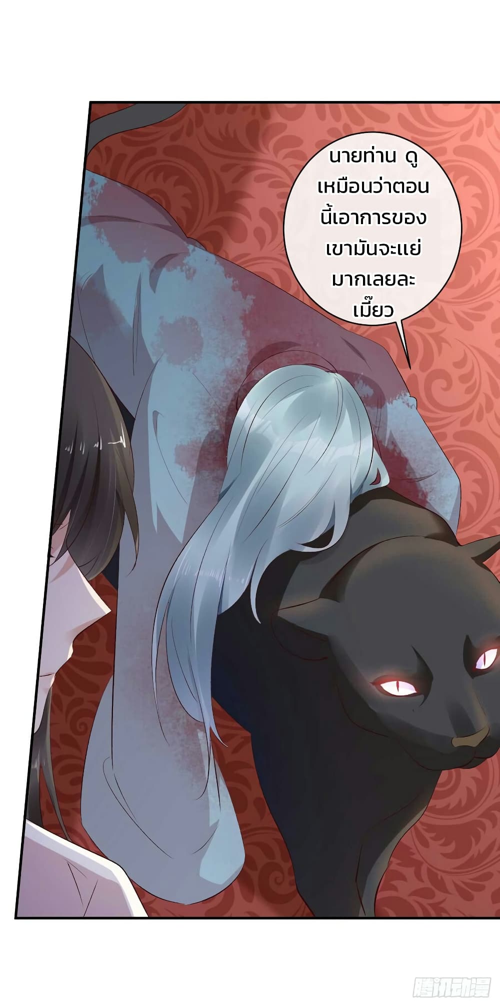 Genius Doctor Black Belly Miss 49 (41)