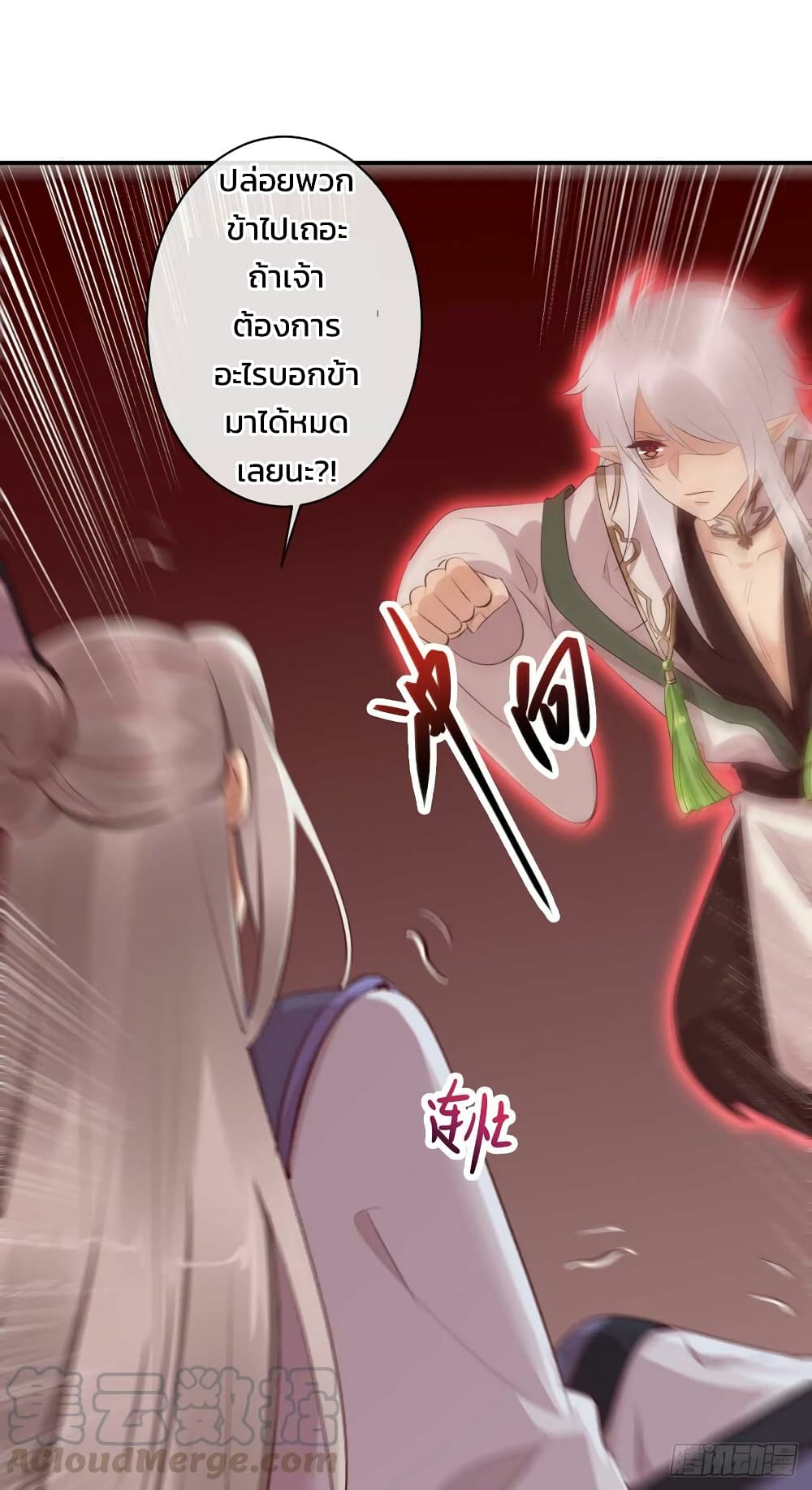 Genius Doctor Black Belly Miss 49 (43)