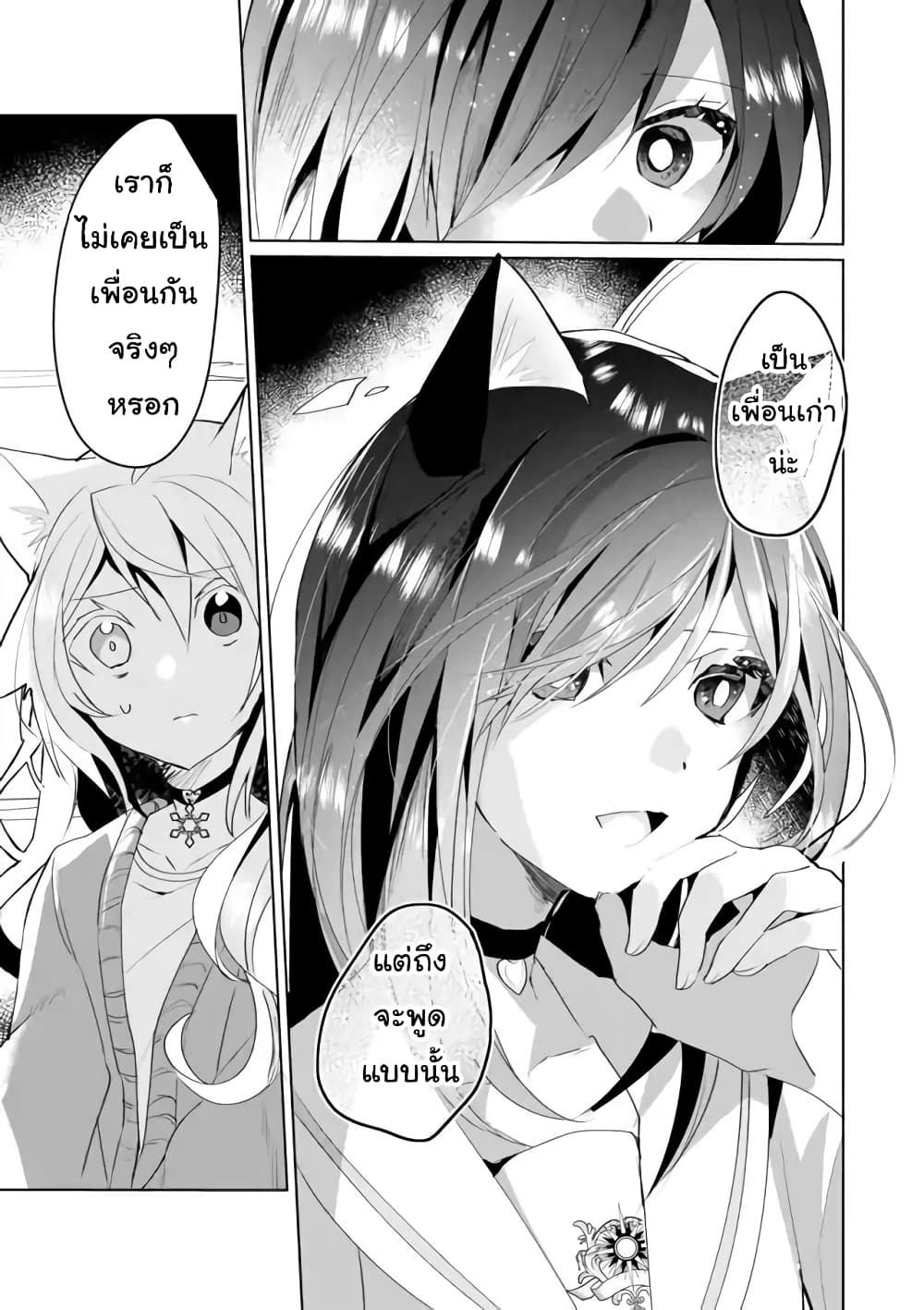 Nekomusume Shoukougun 37 (13)