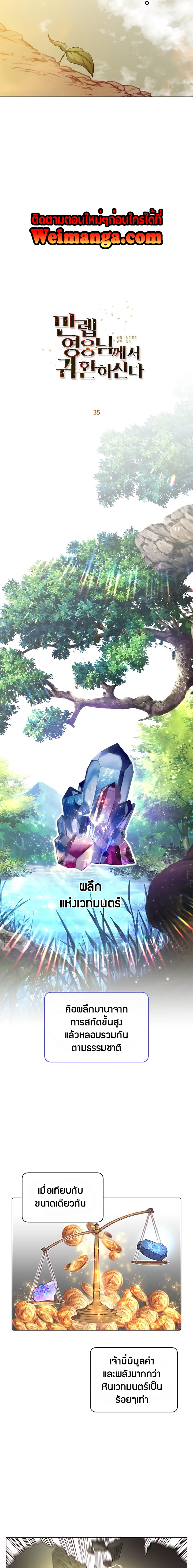 The Max Level Hero has Returned! 35 (9)
