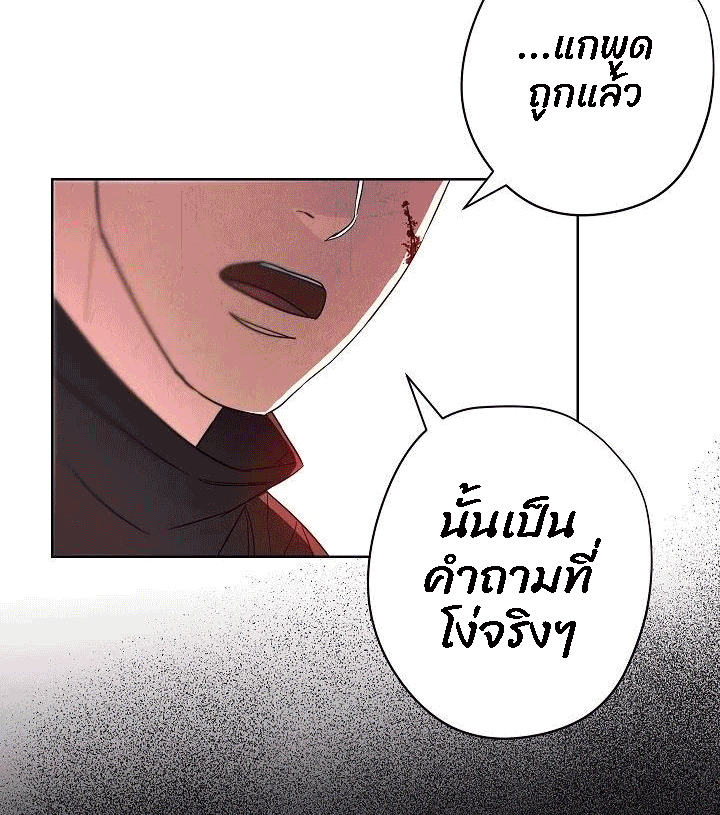 The Live 49 (14)