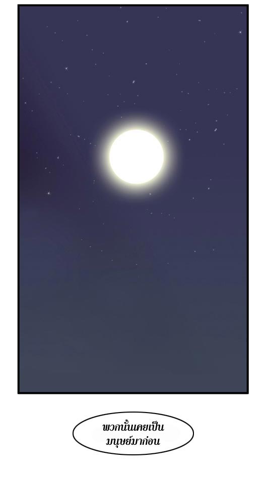 Noblesse 49 003
