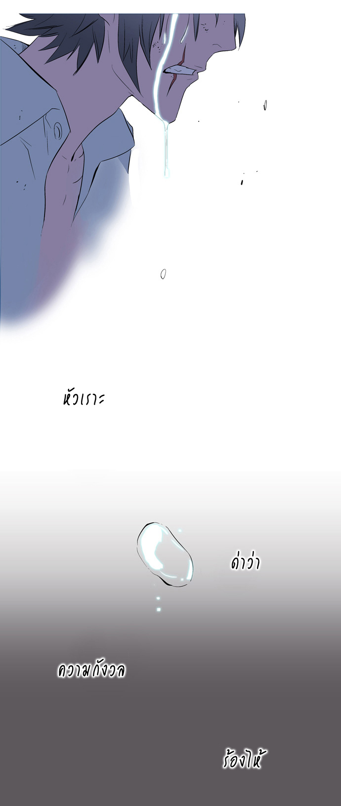 Noblesse 78 028