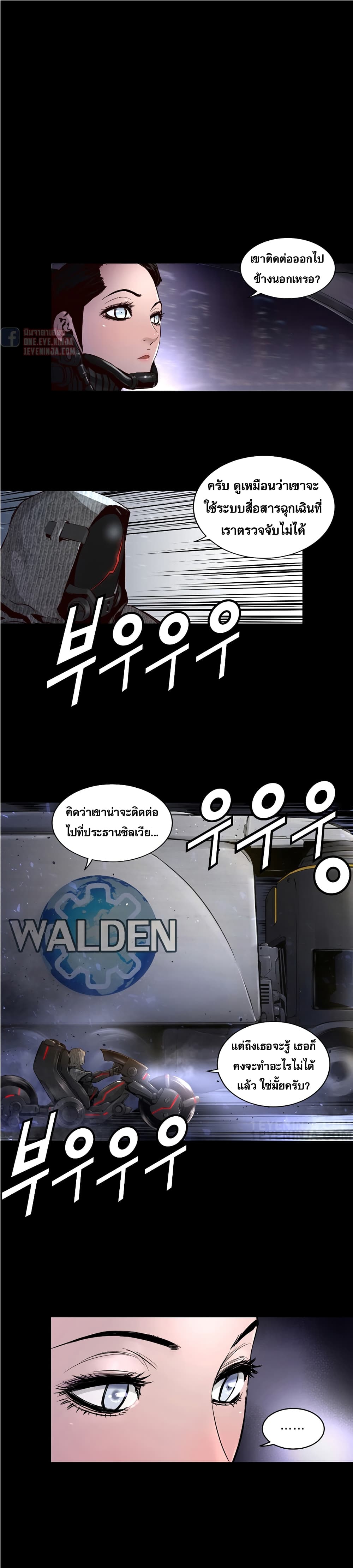 Trinity Wonder 27 (12)