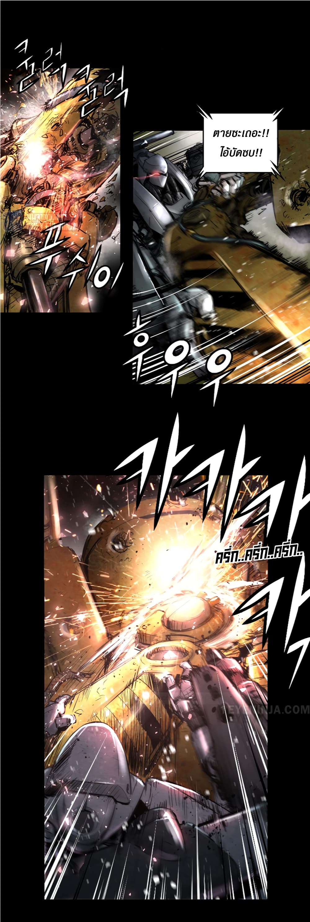 Trinity Wonder 8 (14)