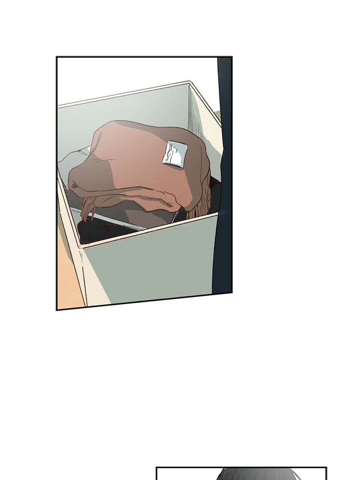 The Shape of Sympathy 2 36