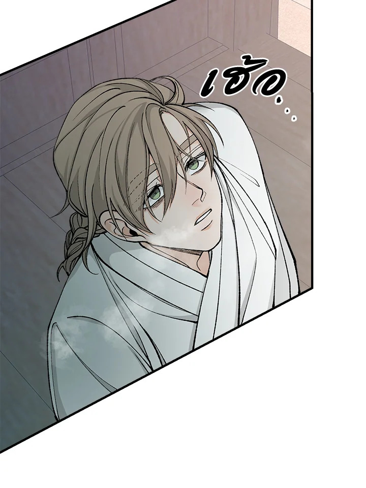 Fever 17 40