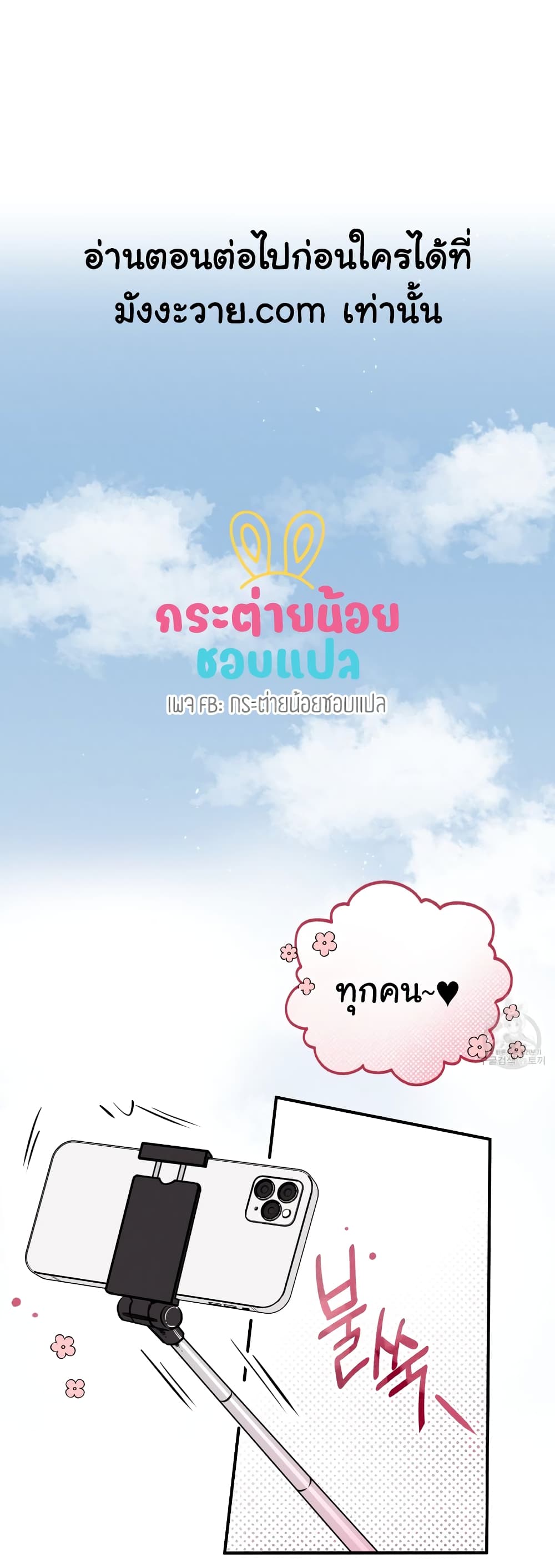 Honey Bear 17 01