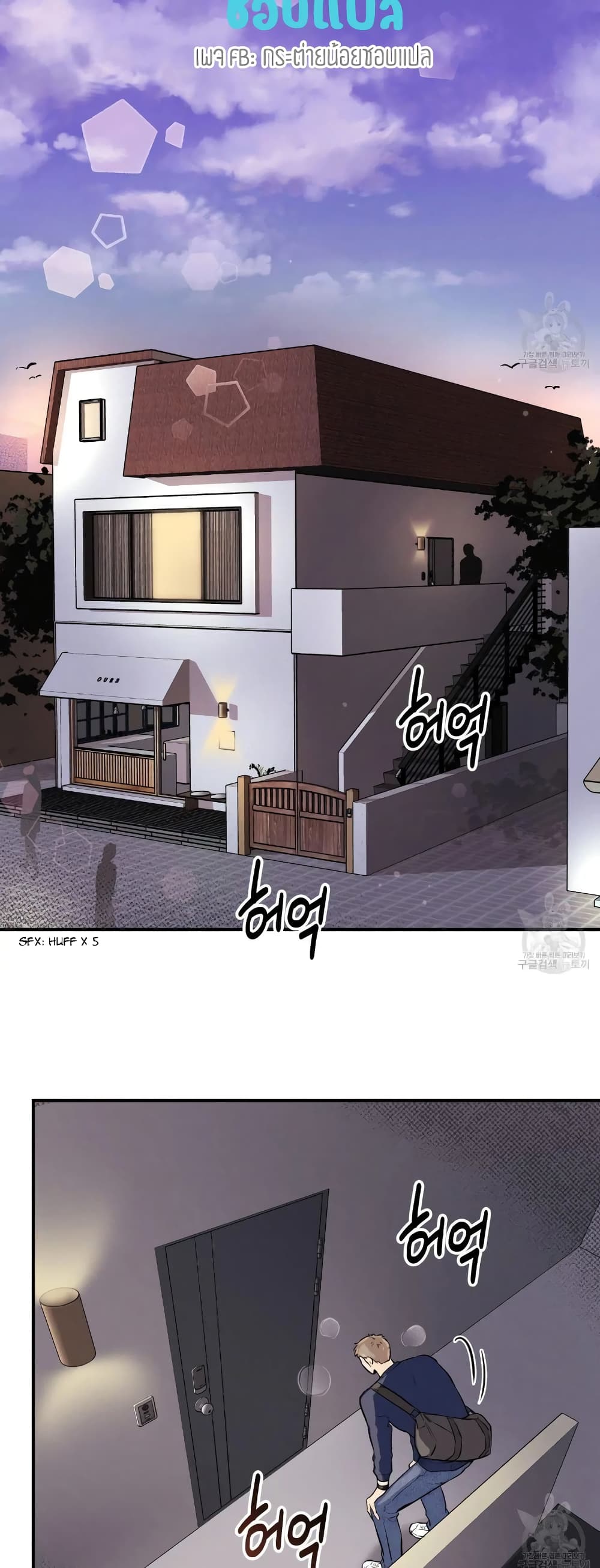 Honey Bear 14 02