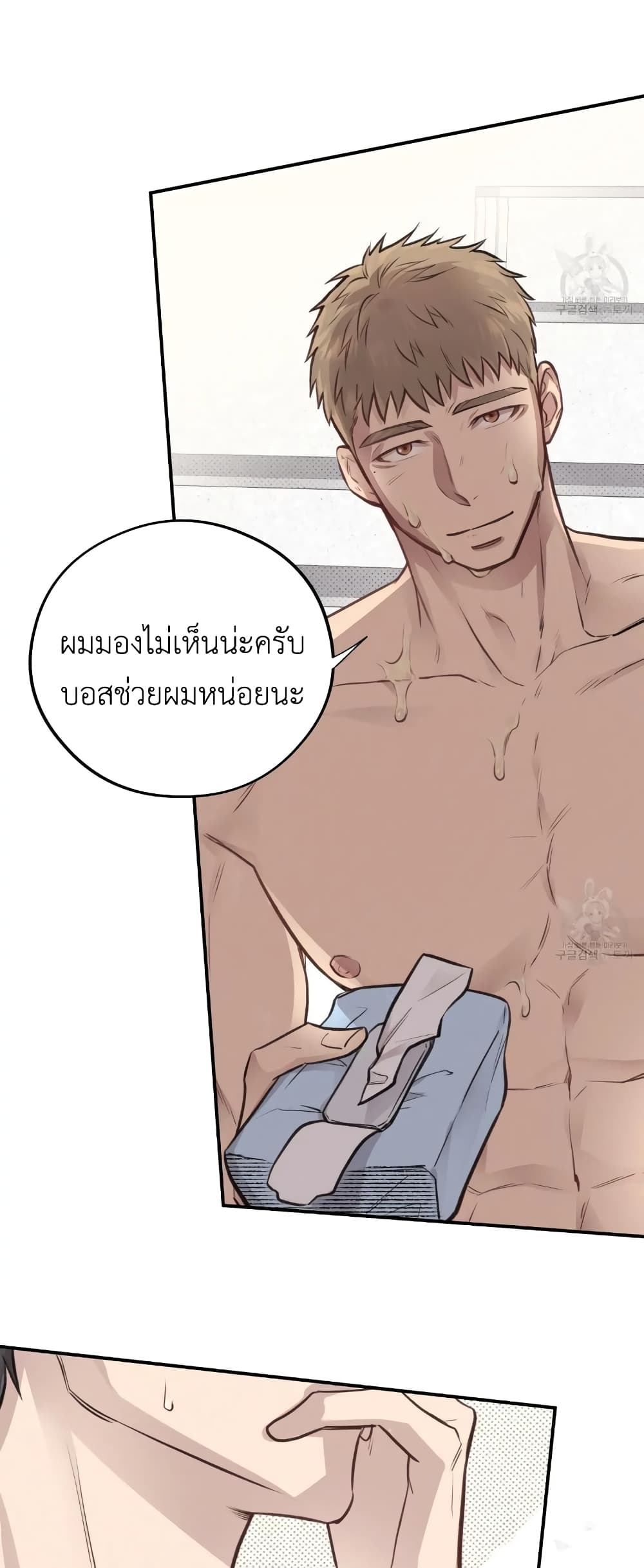 Honey Bear 8 03