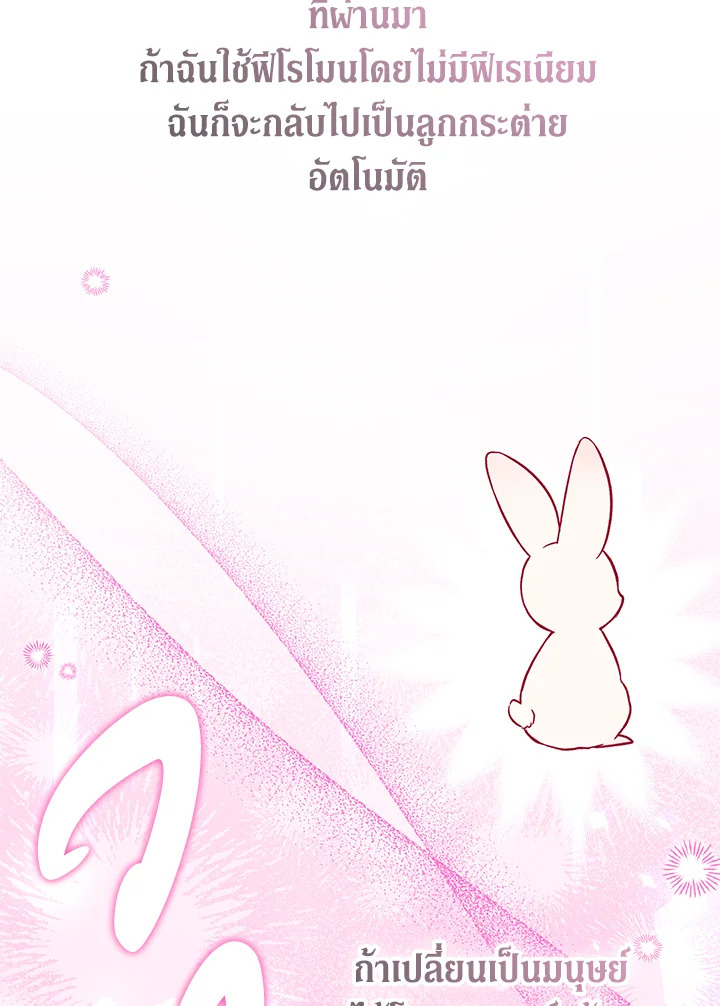 The Symbiotic Relationship Between a Panther and a Rabbit 123 044