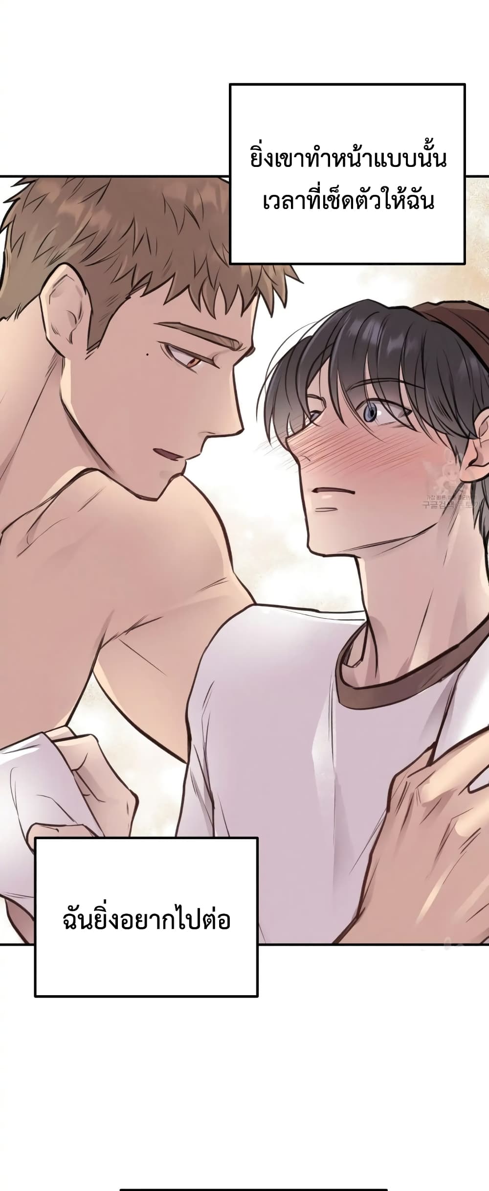 Honey Bear 8 19