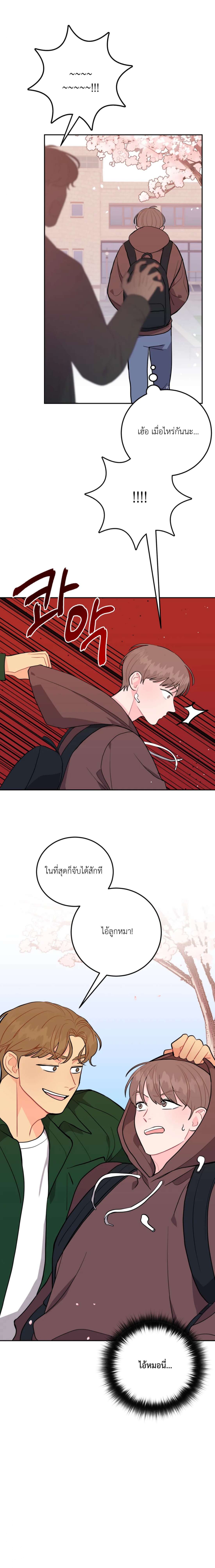 อย่าล้ำเส้น 17 14