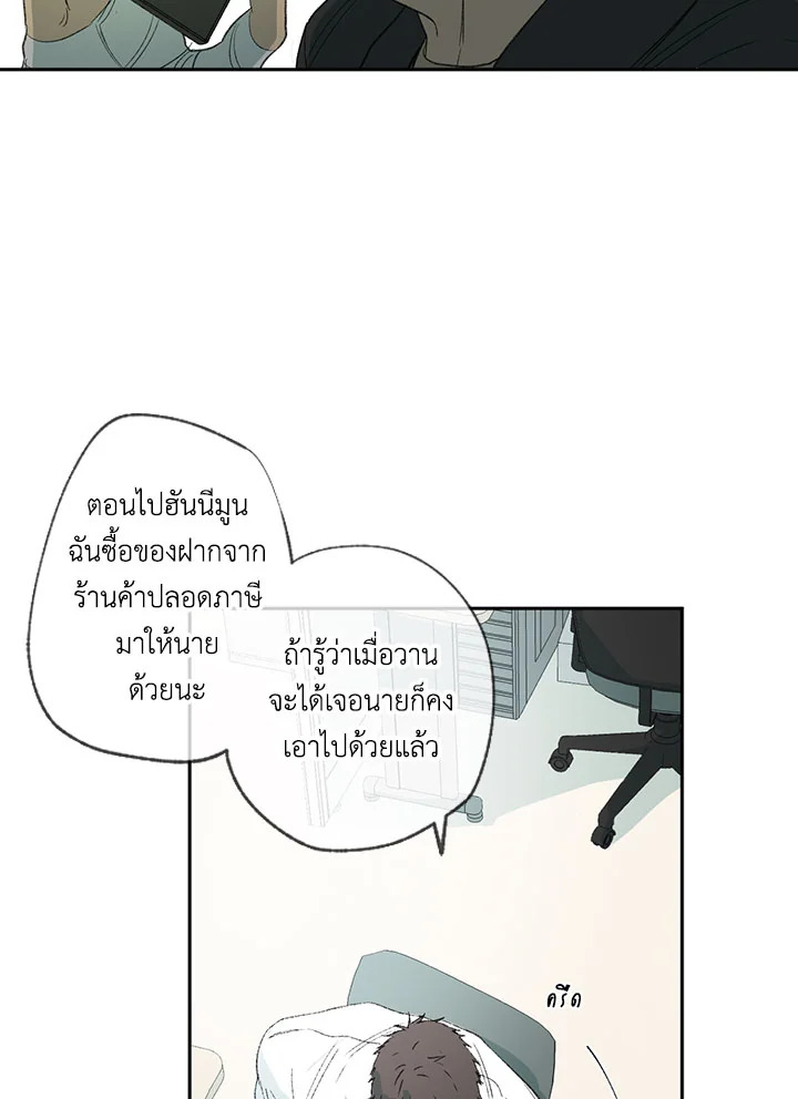 The Shape of Sympathy 19 013