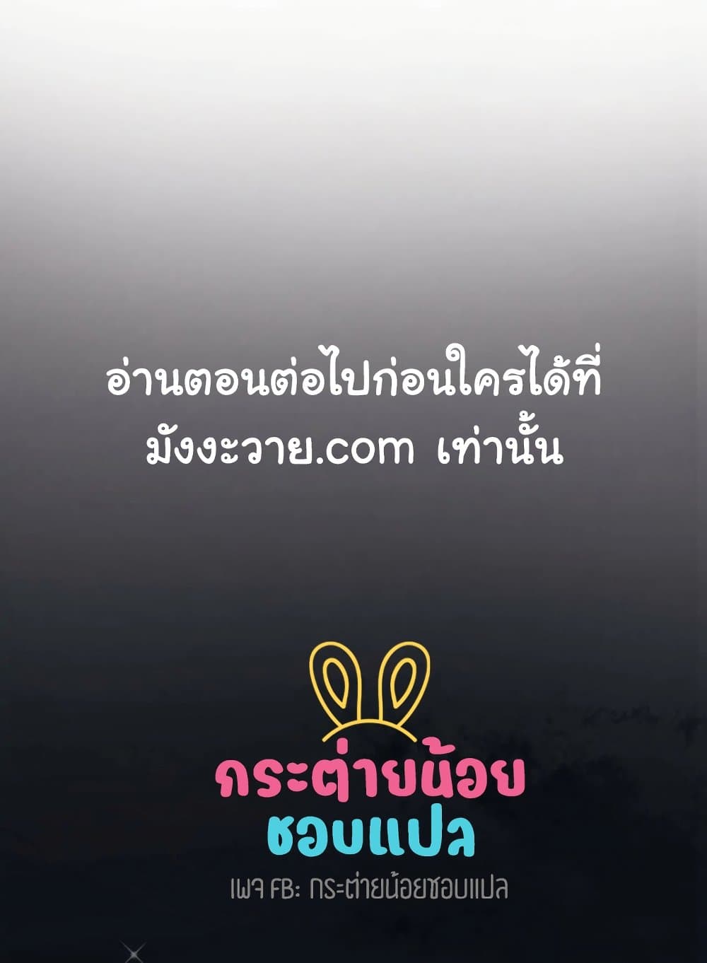 Honey Bear 9 01