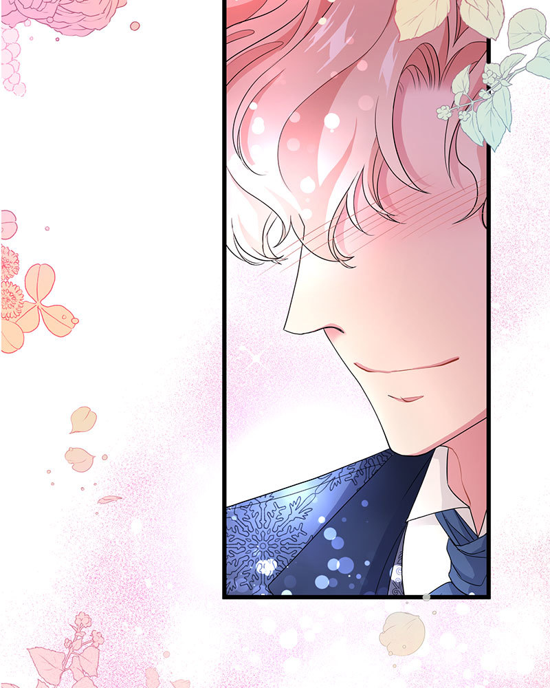 canidie 20 2 67 08004