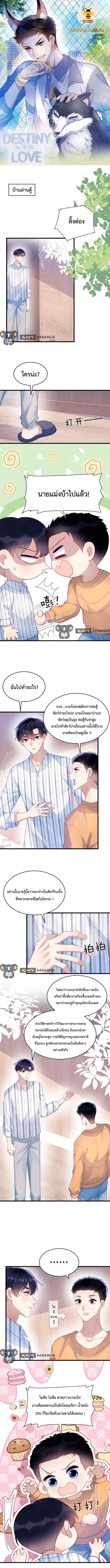 DESTINY LOVE 45 (1)