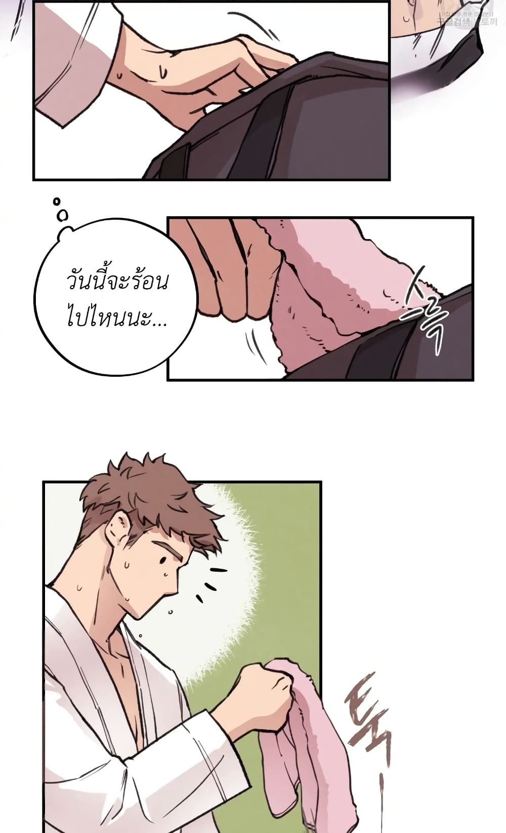 Honey Bear 2 12