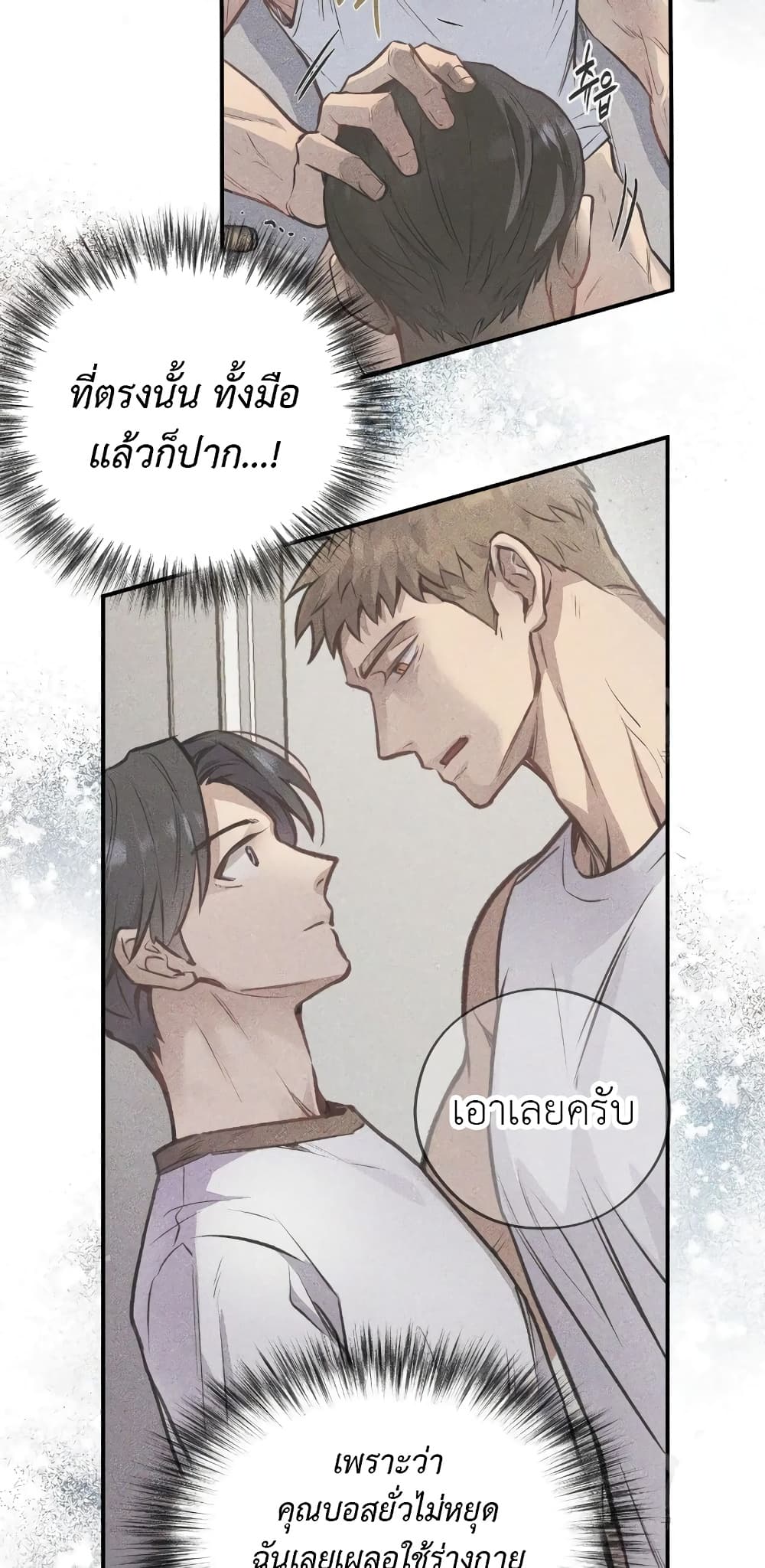 Honey Bear 13 03