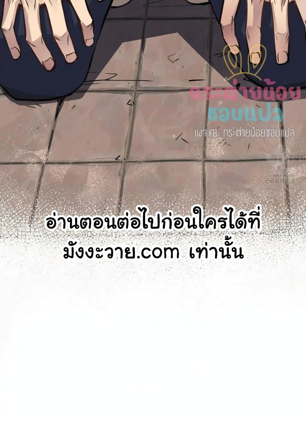 Honey Bear 9 77