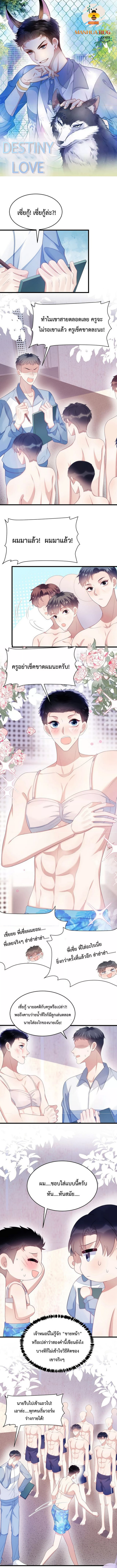 DESTINY LOVE 42 (1)