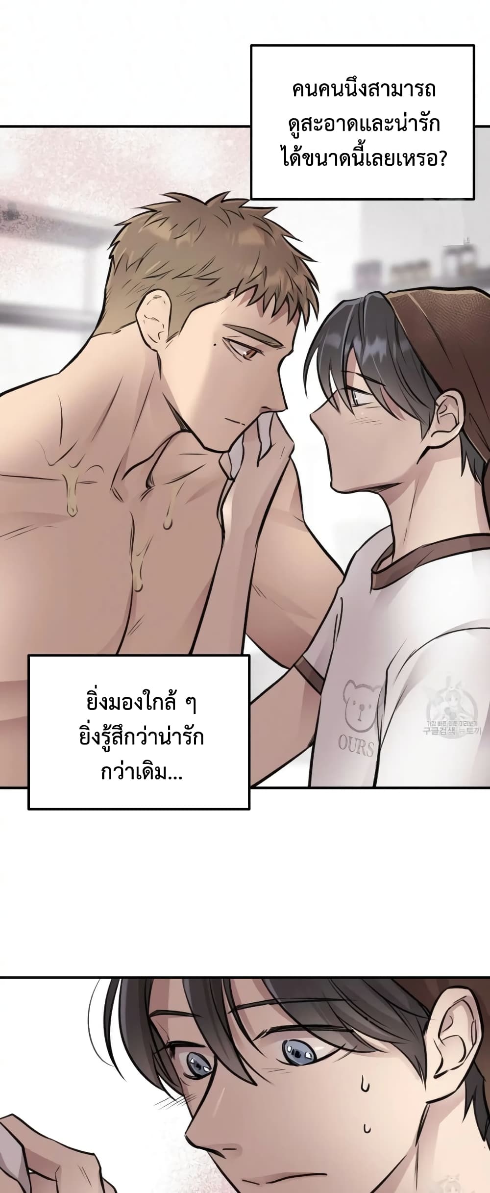 Honey Bear 8 08