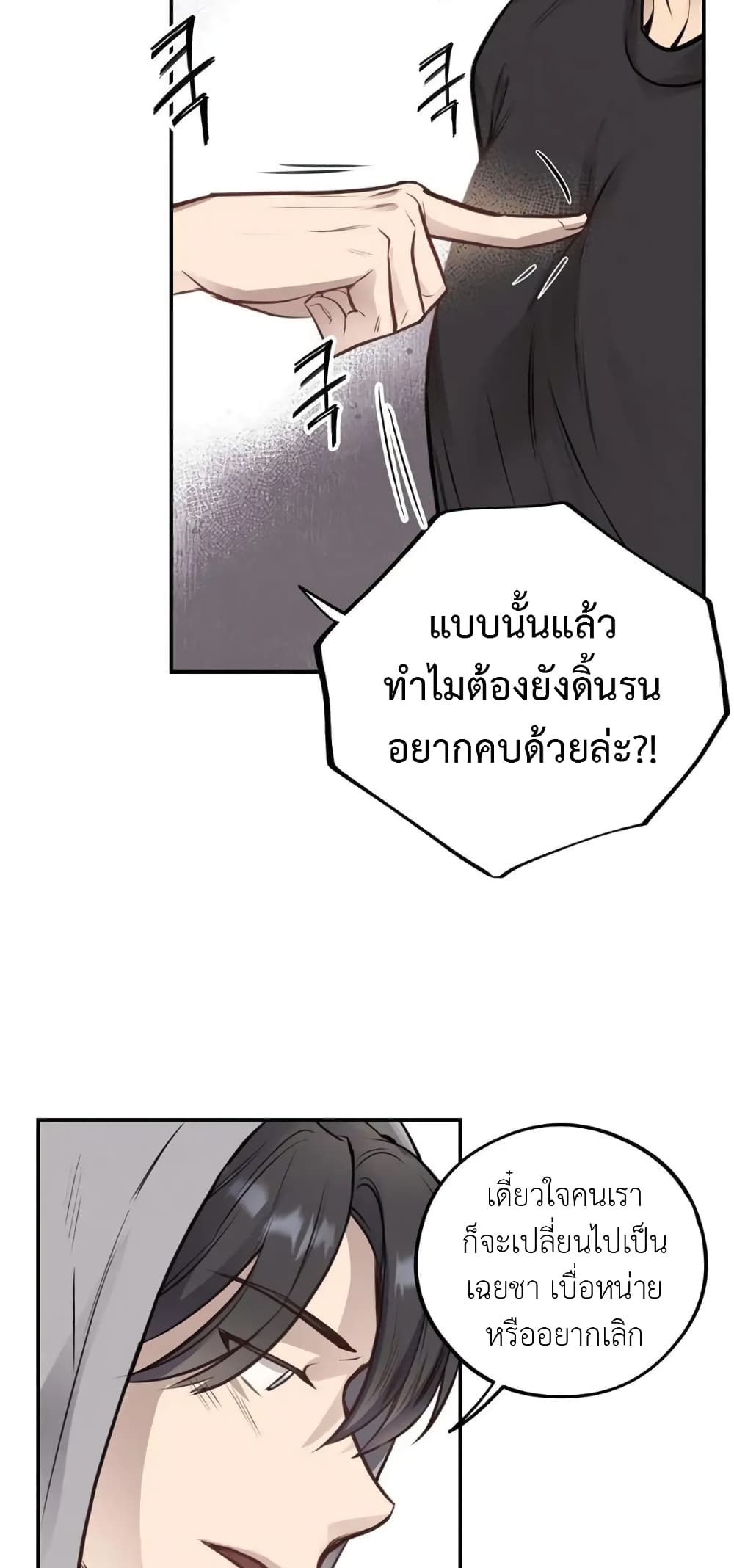Honey Bear 40 18