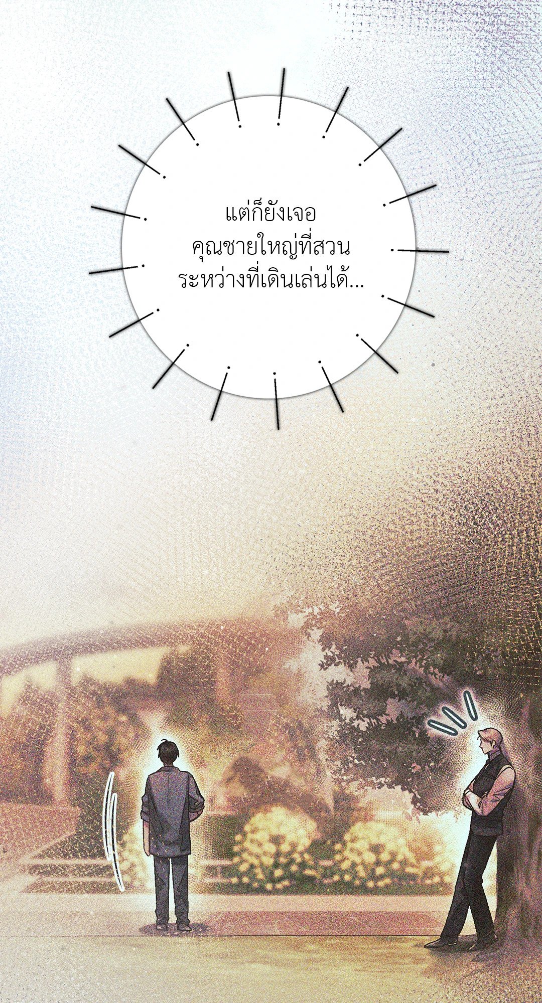Sugar Rain 11 24