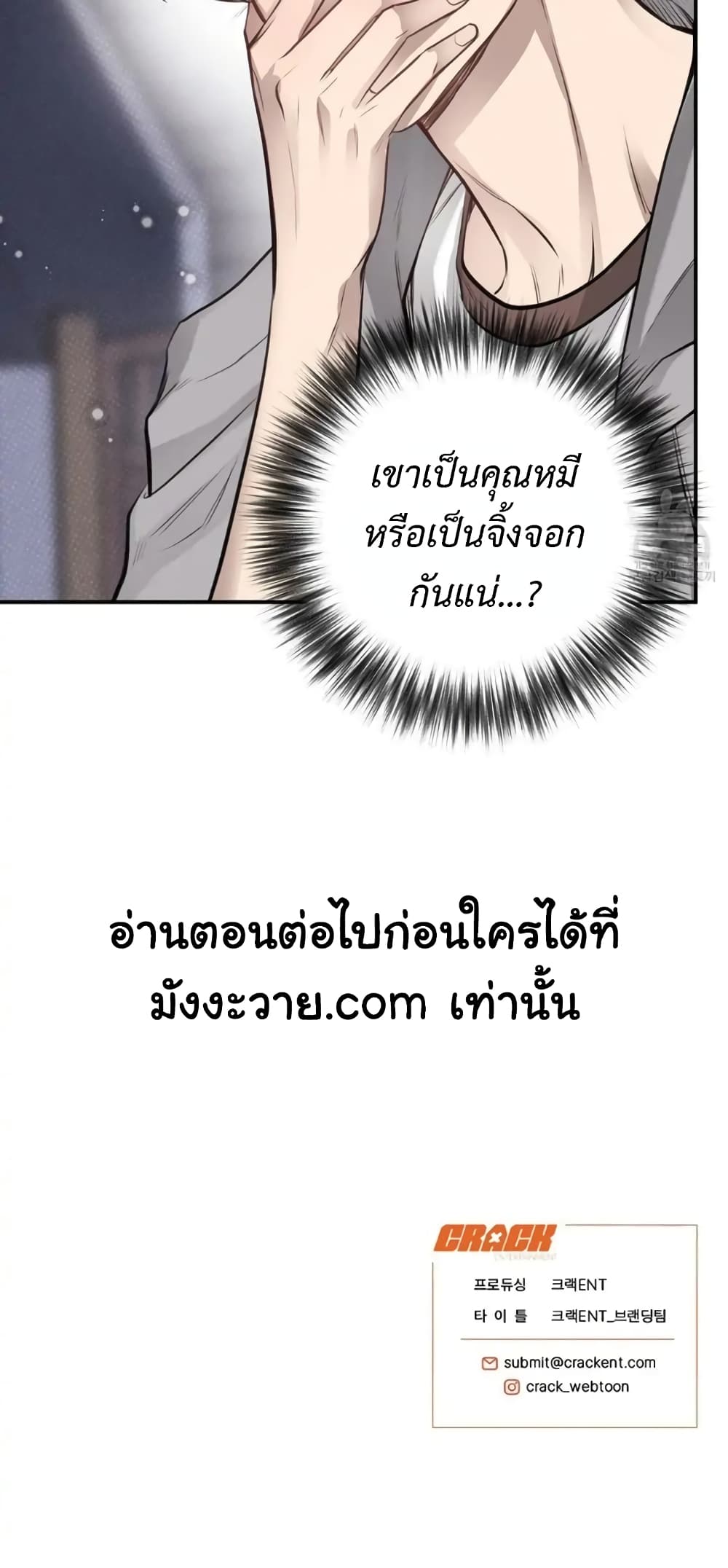 Honey Bear 40 49