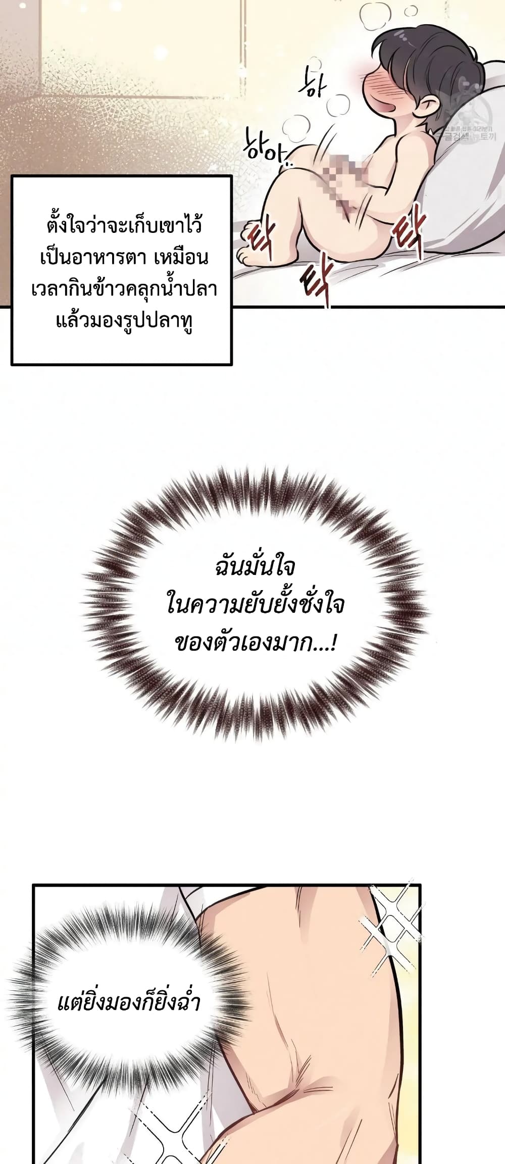 Honey Bear 7 28