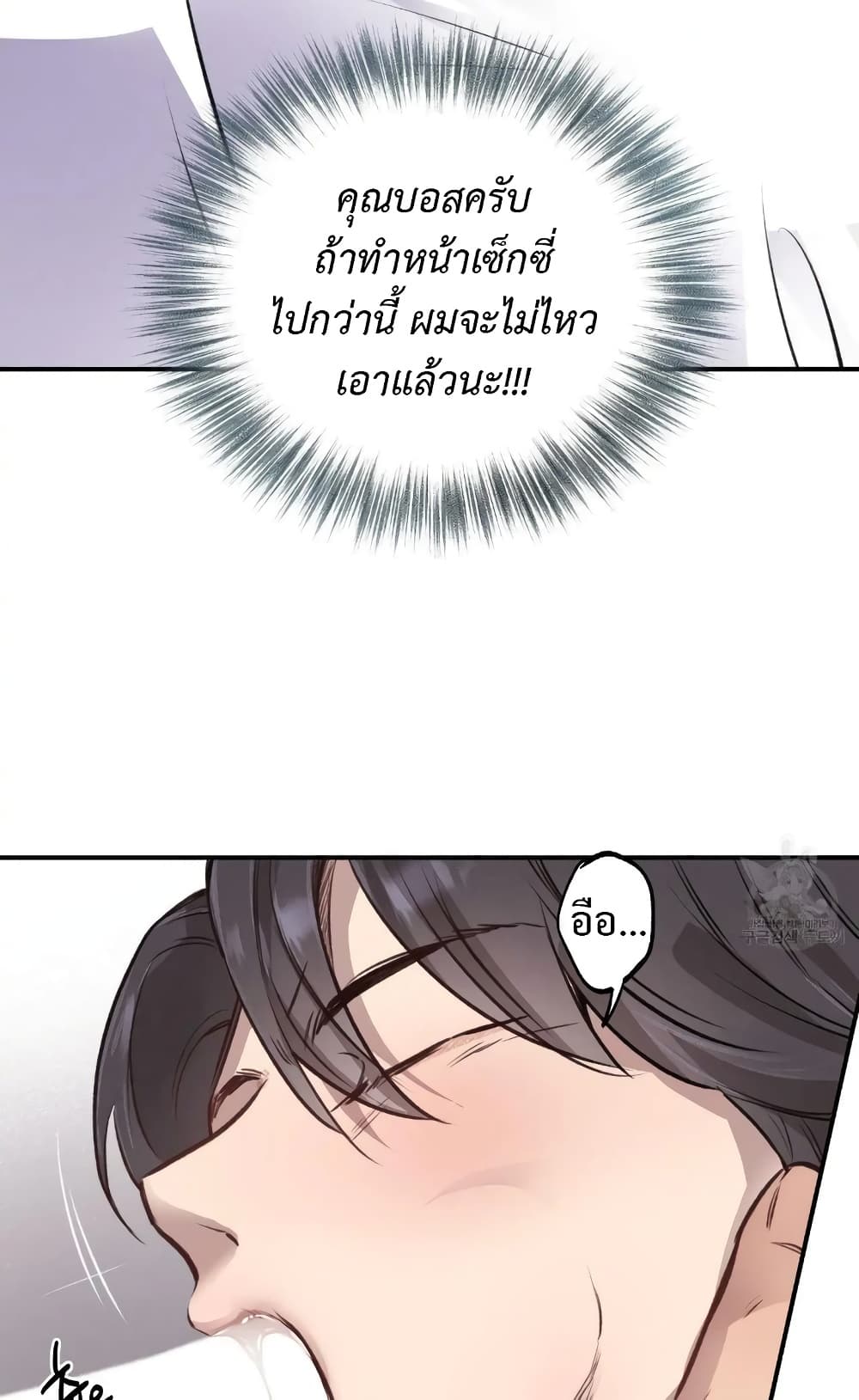 Honey Bear 12 43