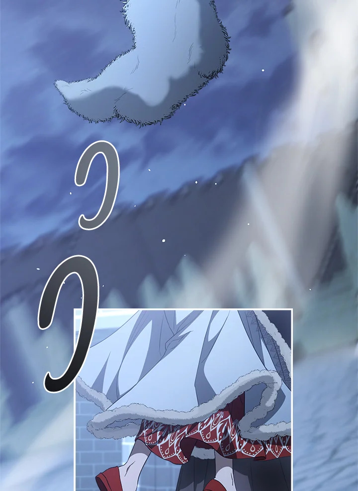 Marriage of Convenience 88 065