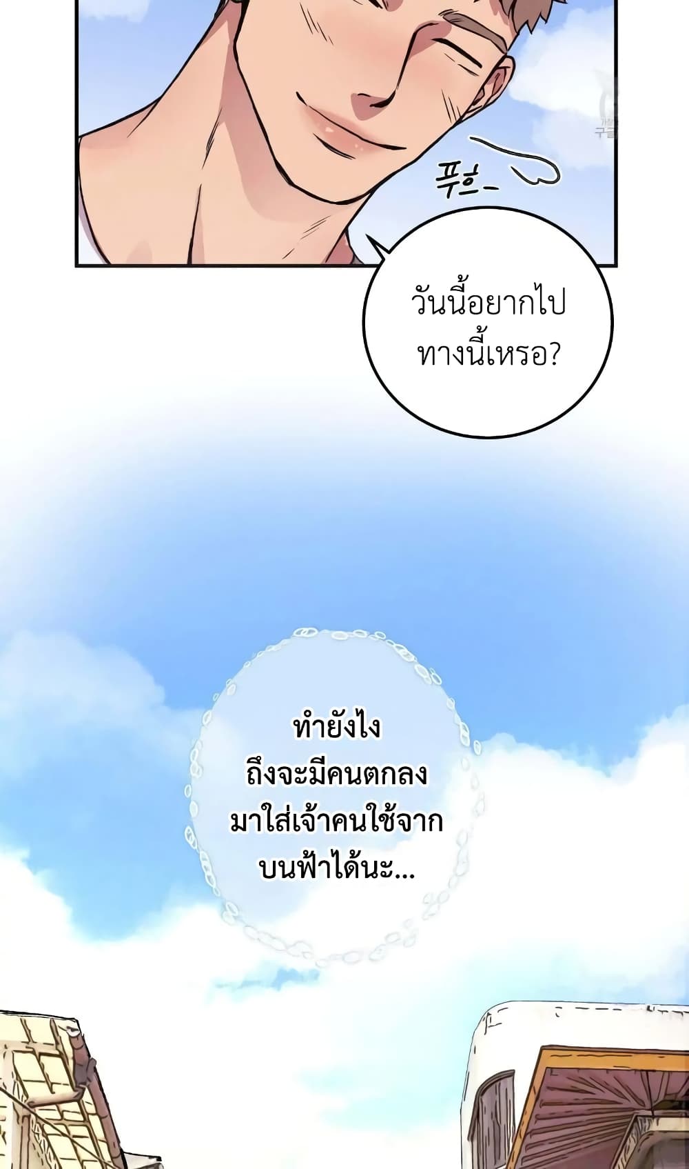 Honey Bear 1 15
