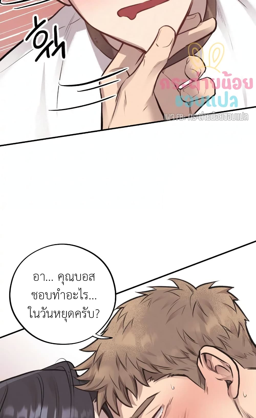 Honey Bear 12 21