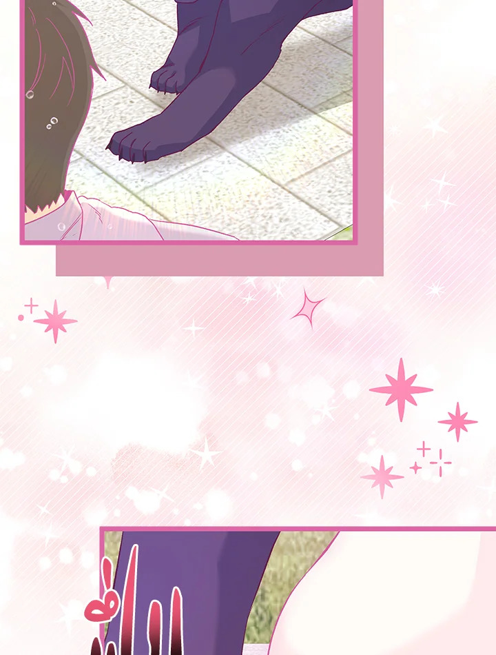 The Symbiotic Relationship Between a Panther and a Rabbit 121 46