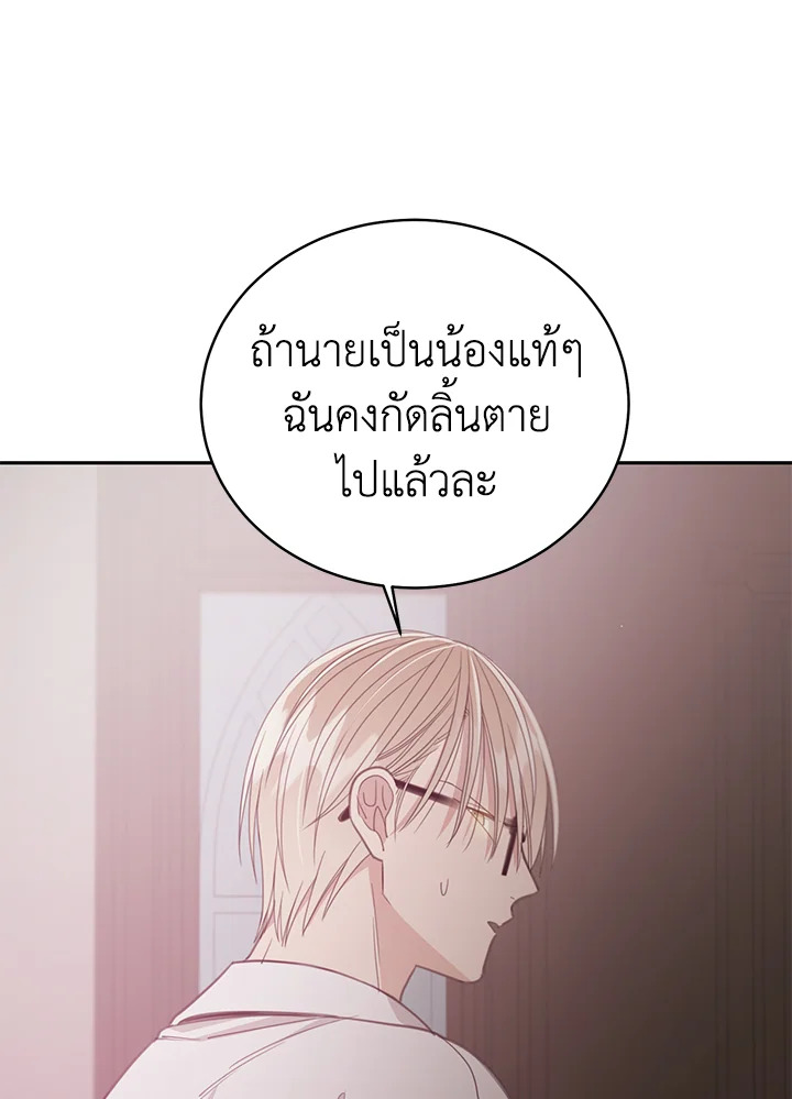 Shuffle 82 36