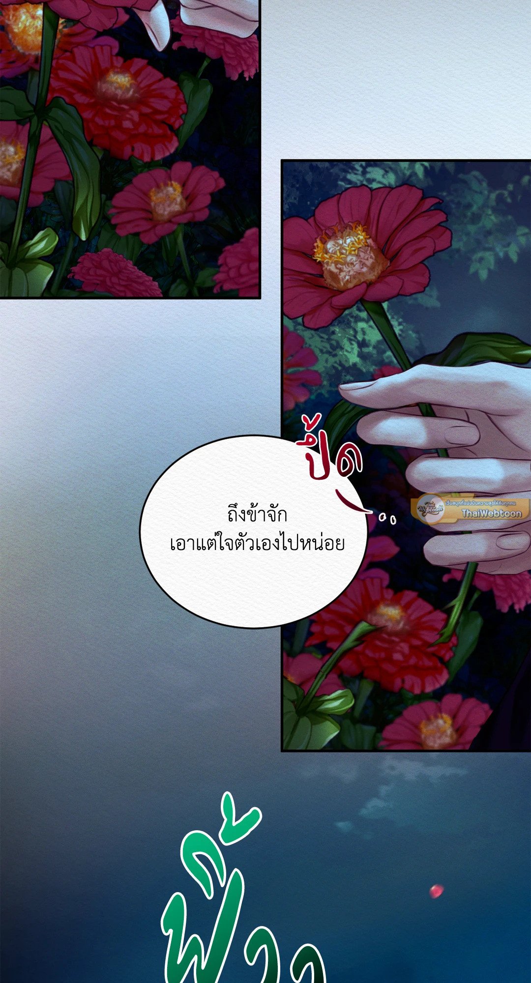 Night Song 37 29